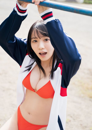 斯文败类臣年林琛陆司琪结局