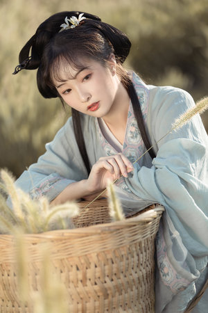 神圣使命24集剧情