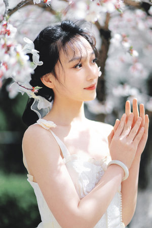 南派三叔写的墓被证实