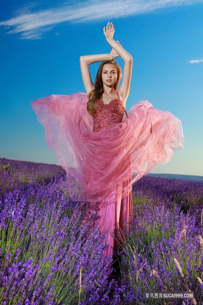 落花时节电视剧