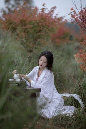 吧十年新版入口绿巨人