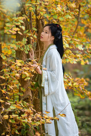 中文字幕av有码