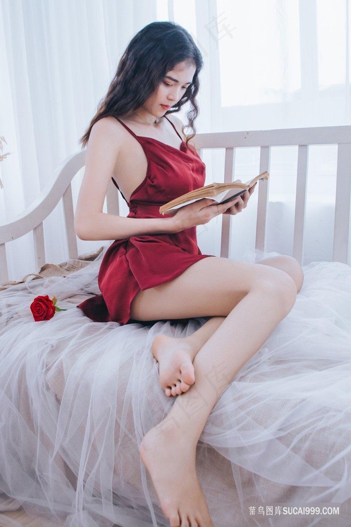 我的黑帮大佬第1季免费