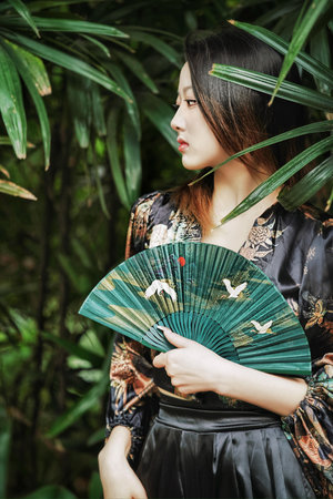 超强台风免费观看完整版视频