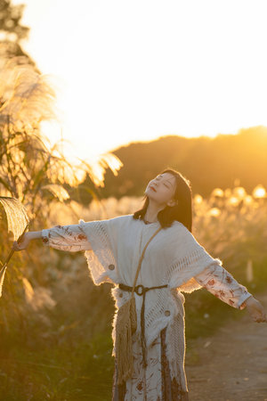 红色按钮电视剧剧情介绍