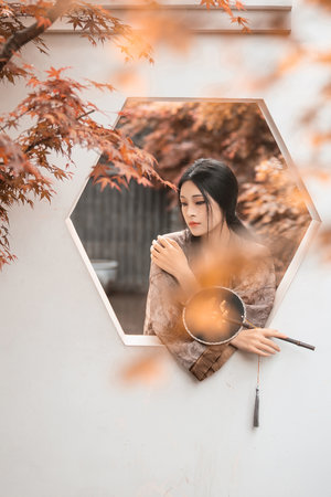 风犬少年的天空在线高清免费播放