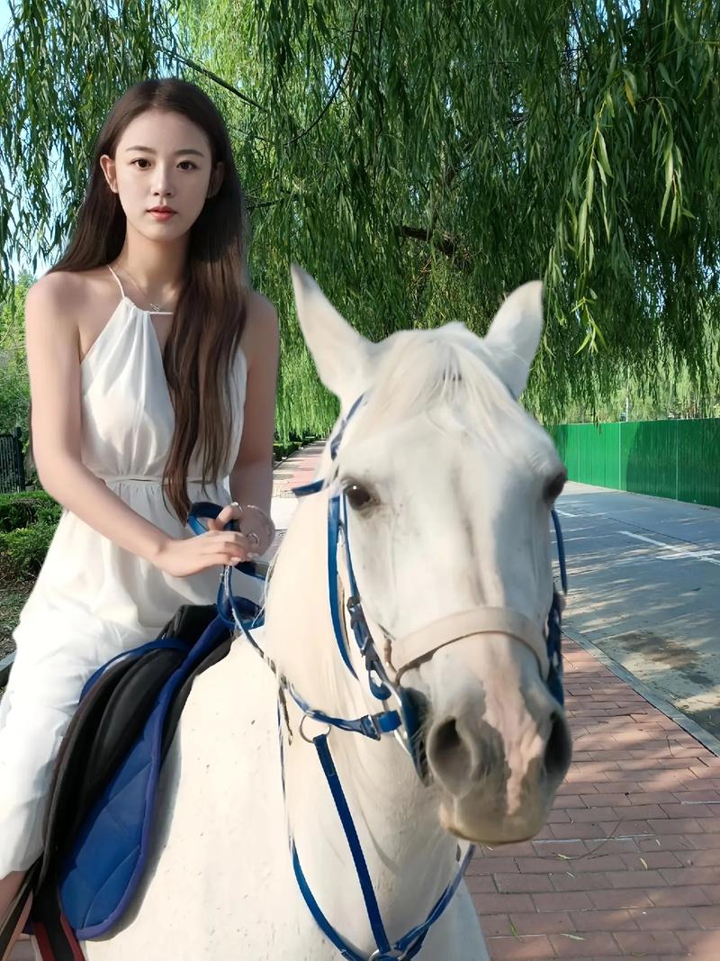 一次就能怀上的概率