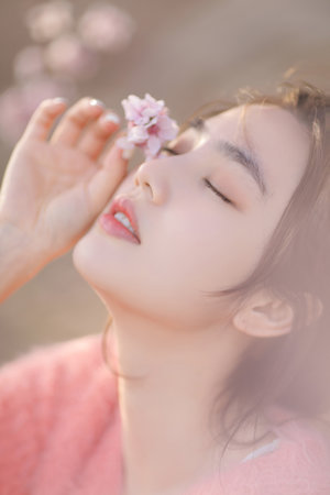 真假东宫电视剧