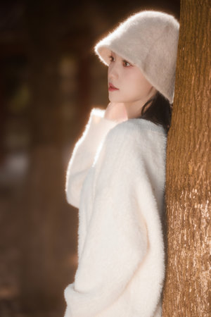 狸猫换太子传奇电视剧全集免费观看