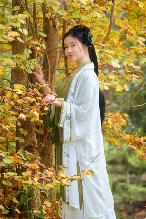 gogogo高清免费完整版如果