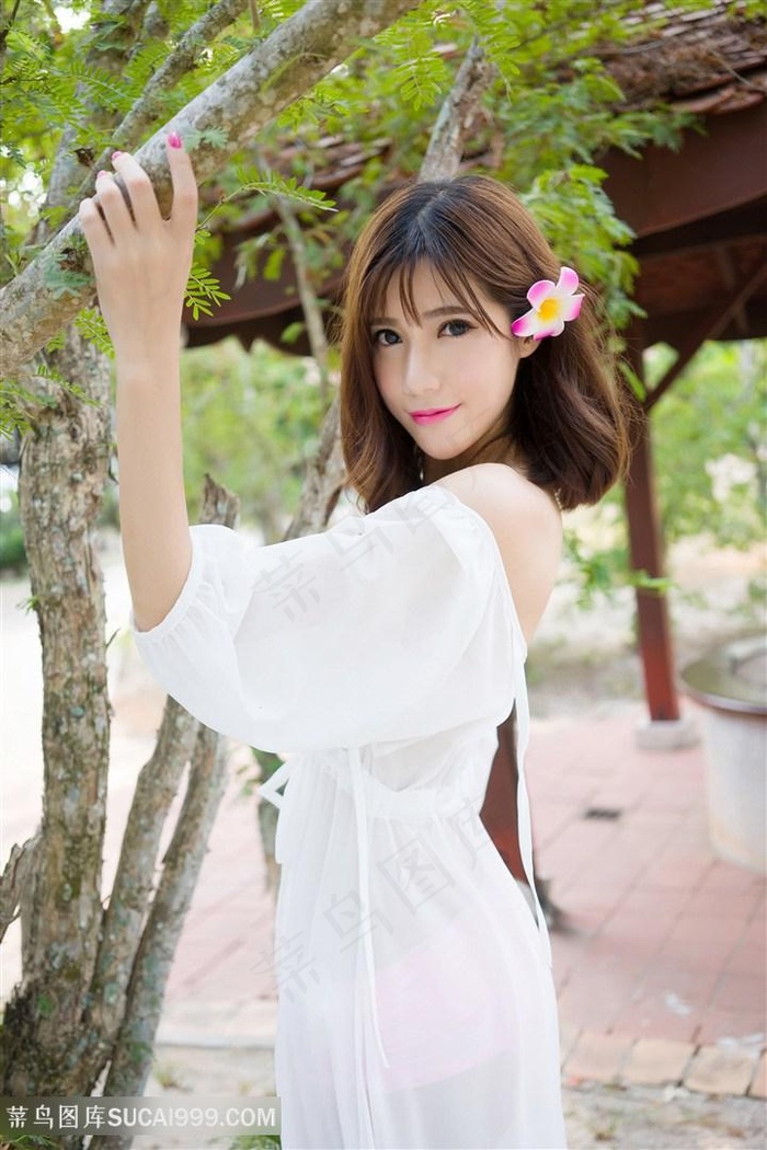 刑警粤语播出时间