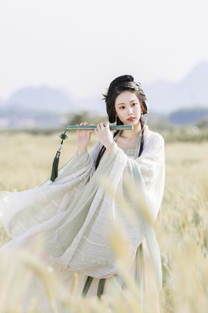 风车电视剧大全集