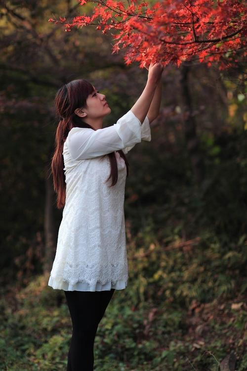 X战警第一战国语版