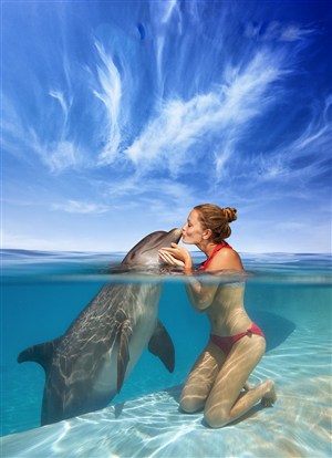 成视人免费视频