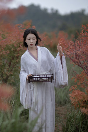 无码日本被黑人强伦姧人