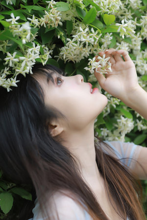 丰满的子在线观看