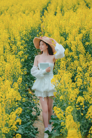 吹梦到西洲电视剧