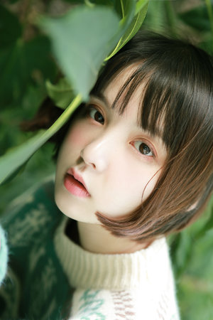 ady映画防弊屏映画